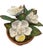 Mid 20th Century Vintage Petite Potted French Porcelain Bisque & Tole White Gardenia Flower / Floral Arrangement in Terracotta Pot For Sale - Image 5 of 6