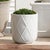 This set of earthenware pots are designed for the outdoors, but are equally as beautiful indoors. From the depth of the...