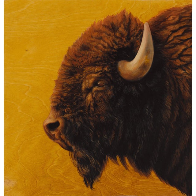 This oil on wood painting features a majestic buffalo, its profile illuminated against a warm, golden background that...
