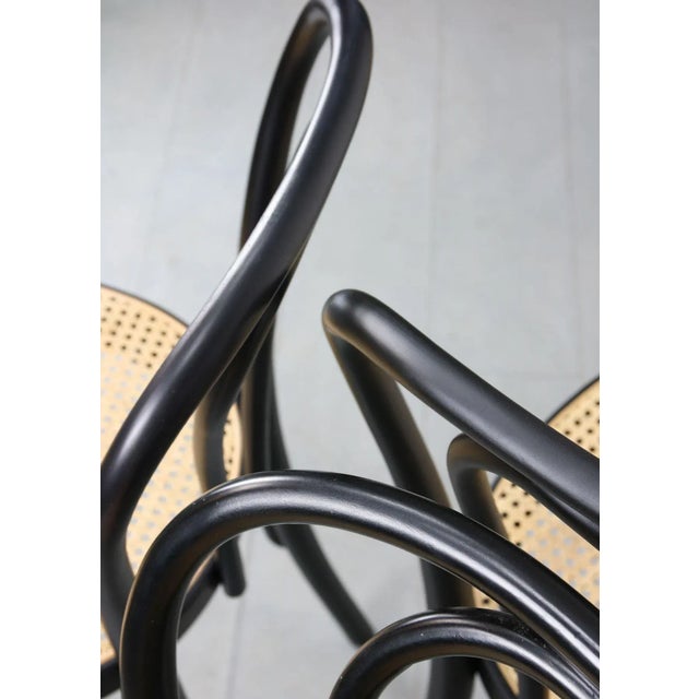 Bentwood No. 218 Chairs, Set of 2 For Sale - Image 9 of 18