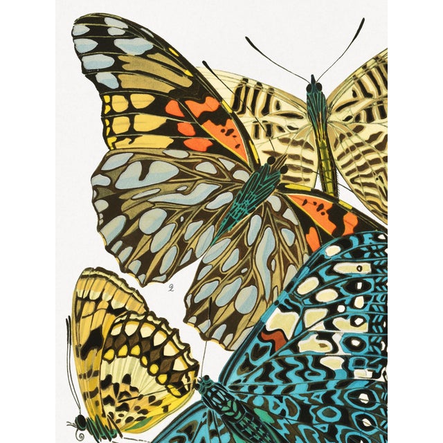 Decorative insect illustration reproduced from a 1925 plate by E. A. Séguy, celebrated for his vivid pochoir works...