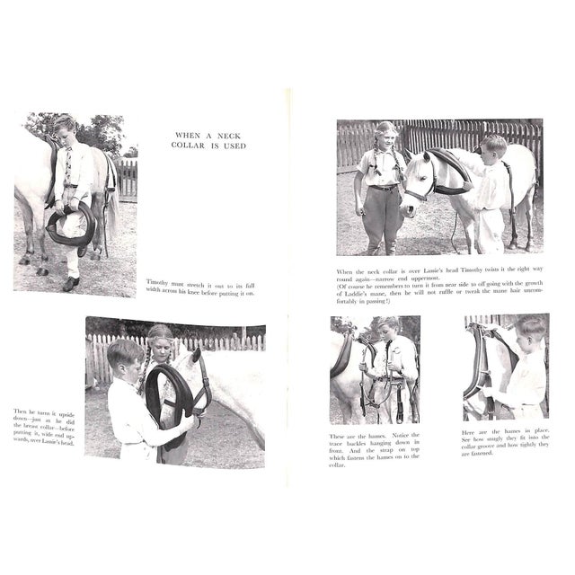 "Learning to Drive Ponies" 1948 Holyoake, Janet For Sale - Image 11 of 11