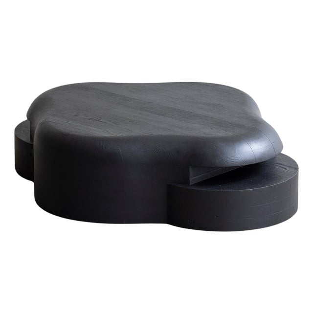 Burned and Black Stained Oak Lahmu Coffee Table by Sizar Alexis For Sale