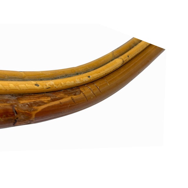 Mid-Century Organic Bamboo and Rattan Fish-Shaped Mirror, France, 1950s For Sale - Image 6 of 11