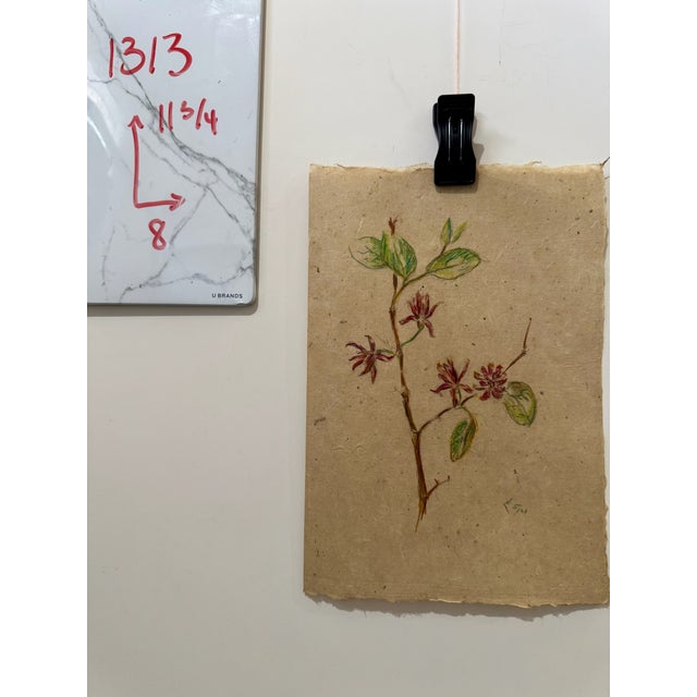 Henry Emil Salloch Original Watercolor on Paper Botanical Study of a Sweetbrush Branch, 1941. For Sale In Atlanta - Image 6 of 6