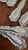 Antique Holmes & Edwards Silverplate Spoons,,Nassau/Fleur-De-Lis Pattern, Mono S Ornate 11 Pcs For Sale In San Diego - Image 6 of 15