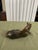 Dodge Gladys Brown Edwards Horse Bronze Metal Horse Figure, 20th Century For Sale In Savannah - Image 6 of 6