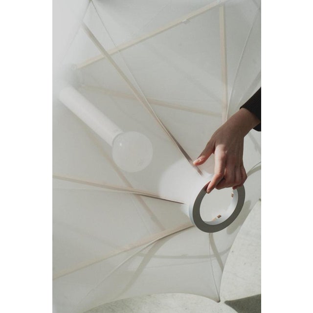 Sorpresa Pendant Lamp by Samuel Wilkinson for Astep For Sale - Image 6 of 9