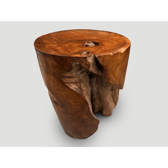 Wood Andrianna Shamaris Sculptural Teak Wood Tray Side Table For Sale - Image 7 of 18