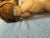 19th Century Large Polychrome Italian Wooden Carved Putto Angel For Sale - Image 10 of 14
