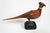 Pair of hand carved wood folk art sculptures of pheasants. Hand painted with glossy finish, glass eyes, unsigned. Felt...