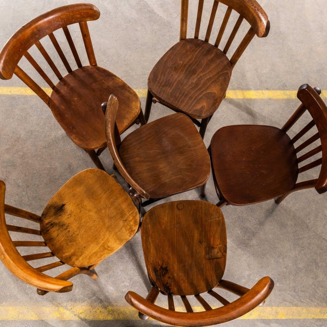 Vintage Honey Oak and Bentwood Dining Chairs, 1950s, Set of 12 For Sale - Image 6 of 11