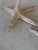 Contemporary Vintage Carved Wood Crane Coastal Bird Floor Sculpture For Sale - Image 3 of 12