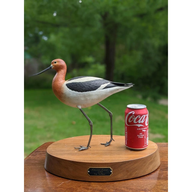 Realism Late 20th Century American Avocet Tim TerMeer 1/30 Hand-Painted Metal Sculpture Spinning Wood Base For Sale - Image 3 of 13