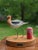 Realism Late 20th Century American Avocet Tim TerMeer 1/30 Hand-Painted Metal Sculpture Spinning Wood Base For Sale - Image 3 of 13