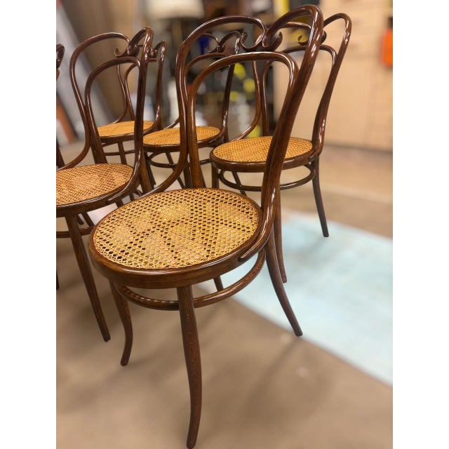 Chairs from Jacob and Josef Kohn, 1890s, Set of 6 For Sale - Image 3 of 8