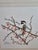 Lovely limited-edition wildlife lithograph “December” by celebrated American wildlife watercolor artist Sallie Ellington...