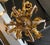 Gold Vintage 1960s Italian Mid Century Hollywood Regency Six Light Gilt Floral Chandelier For Sale - Image 8 of 13