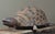 Rustic Antique Hand Carved Folk Art Turtle Sculpture For Sale - Image 3 of 12