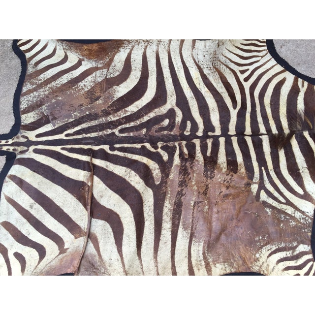 Vintage Brown Zebra Hide Rug Chairish