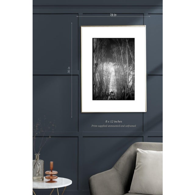 Not Yet Made - Made To Order Paul Cooklin, Garibaldi Monument, Edition of 50 For Sale - Image 5 of 7