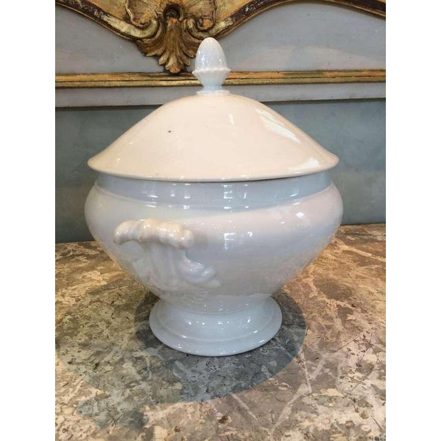 19th century acanthus handled French tureen with lid.