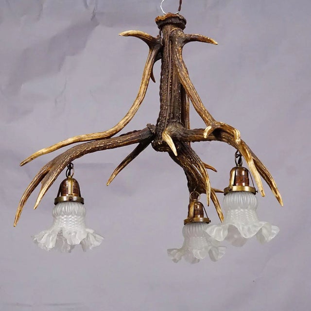 Large Black Forest Ceiling Lamp with Deer Antlers A large antler chandelier made from assembled deer antlers. The lamp...