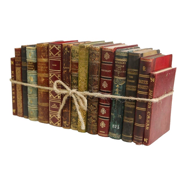 Decorative Books - Vintage Petite Leather Mix Book Bundle - 1 Foot of Leather Books For Sale