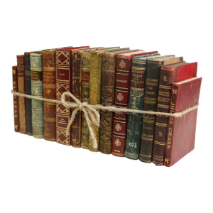 Decorative Books - Vintage Petite Leather Mix Book Bundle - 1 Foot of Leather Books