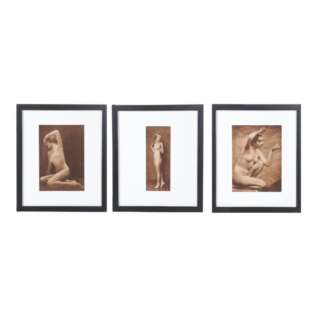 Collection of Three Nude Photogravures From "Woman, Nature and Civilization," 1925 For Sale