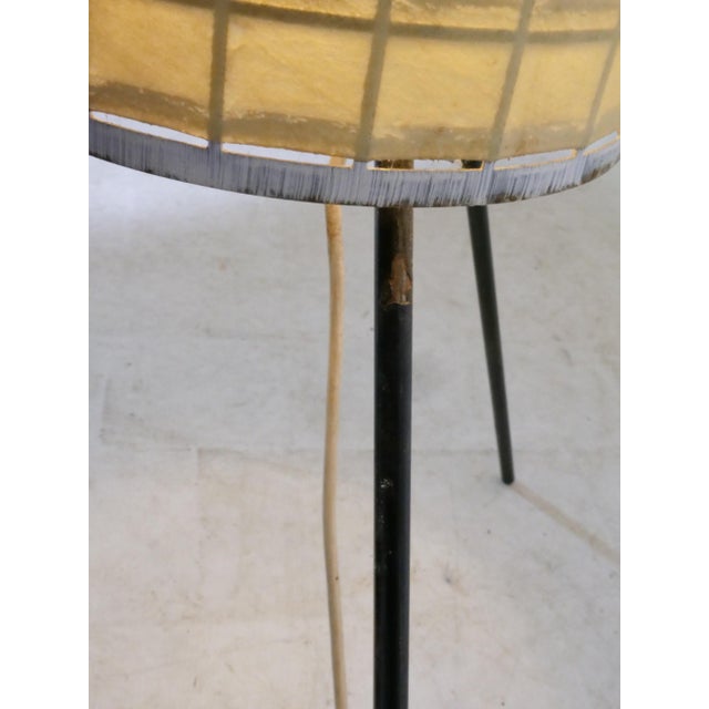 Mid-Century Tripod Cocoon Floor Lamp by Friedel Wauer for Goldkant, Germany, 1960s For Sale - Image 4 of 10