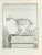 The Skeleton is an etching made by P.F. Tardieu in 1771. It belongs to the suite "Natural, general and particular history...