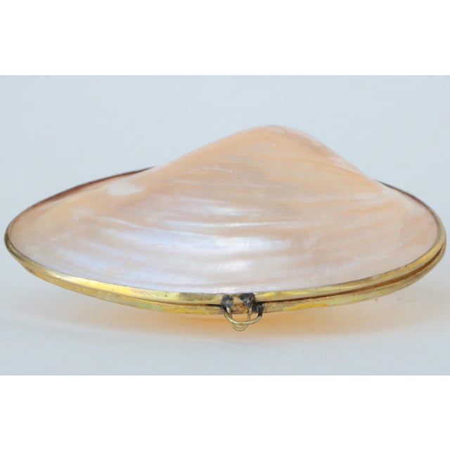 Natural shell box, trimmed in brass with a hinge and clasp. This lightweight box has an all-over mother of pearl finish...