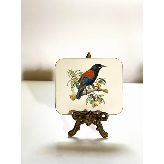 Shabby Chic Mid 20th Century Birds of New Zealand Coasters- Set of 6 For Sale - Image 3 of 10