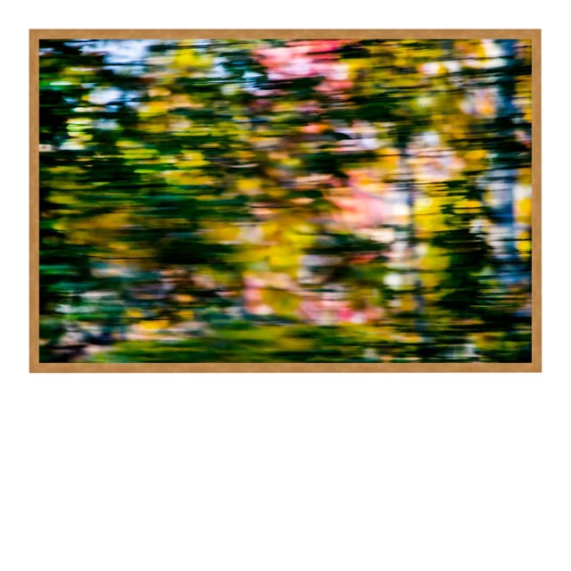 Through the Trees by Geoffrey Baris, Art Print in Gold Frame, Small For Sale