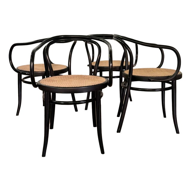 Model B9/209 Armchairs, 1970s, Set of 4 For Sale