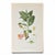 Printmaking Materials Set of 8 Antique Botanical Prints | Pink & Green Wildflower Studies For Sale - Image 7 of 10