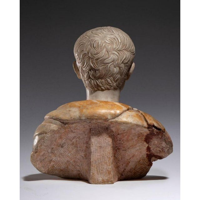 Unknown. Bust of Caesar, Roman Emperor, 19th Century, Marble For Sale - Image 4 of 8