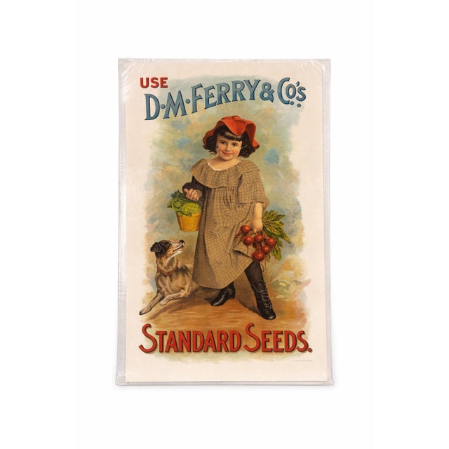 Mid 20th Century Vintage d.m. Ferry & Co. “Standard Seeds” Advertising Print – Colonial Garden Americana Wall Art For Sale - Image 5 of 5