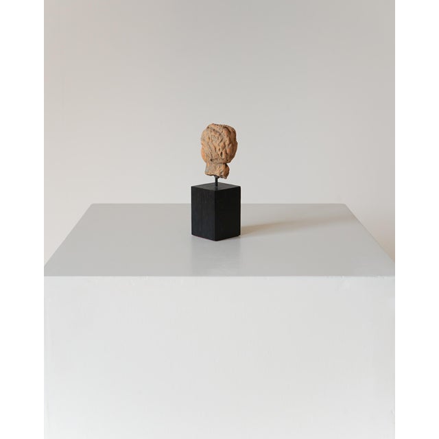 Unknown, Ancient Greek Terracotta Head, 1800s, Terracotta For Sale - Image 4 of 9