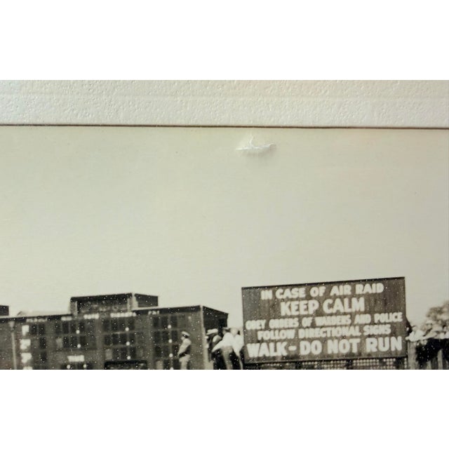 Vintage Original Bert Morgan Royal Ruby Jamaica Horse Racing Jockey Photograph For Sale - Image 13 of 13