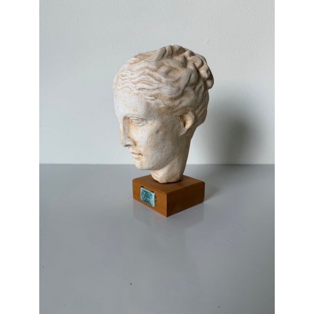 Vintage Handcrafted Hygieia Greek Goddess Plaster Bust Sculpture on Wood Base For Sale - Image 9 of 12