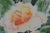 Original Modernist Floral Abstract Painting Signed For Sale - Image 4 of 6