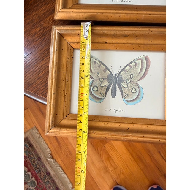 Illustration Small Vintage Butterfly Prints For Sale - Image 3 of 7