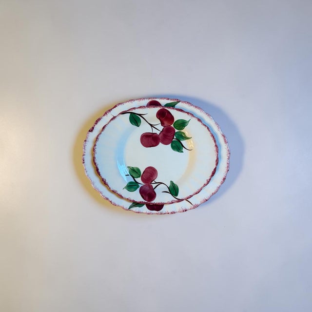 Ceramic Vintage Blue Ridge Pottery Crab Apple Serving Platter Small For Sale - Image 7 of 8