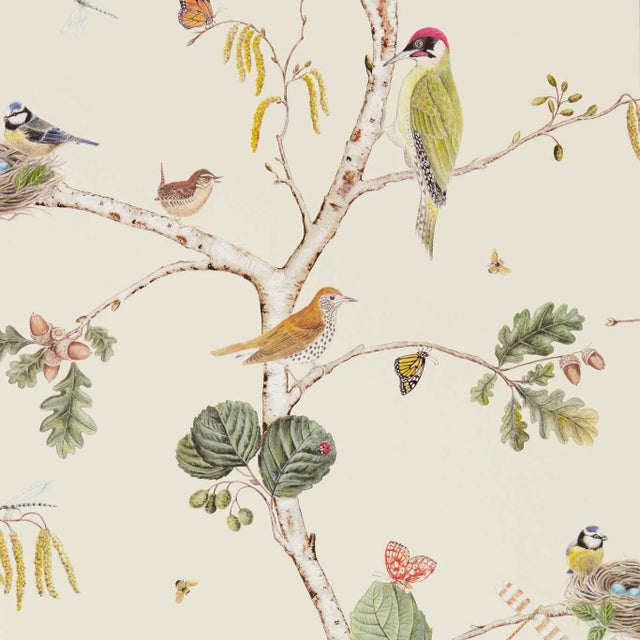 Sanderson Woodland Chorus Wallpaper in Cream/Multi For Sale