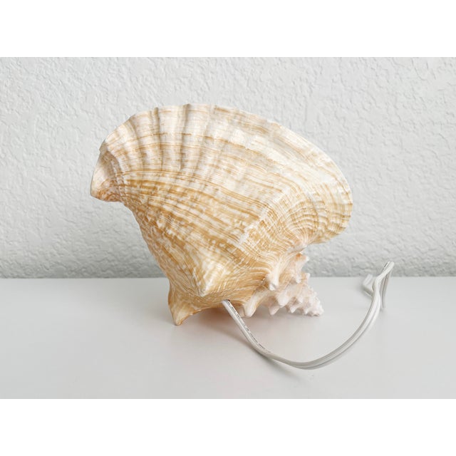 Vintage Conch Shell Accent Lamp For Sale - Image 9 of 10