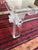 Late 20th Century Vintage Lucite Coffee Table With Thick Acrylic Frame and Glass Top For Sale - Image 5 of 12