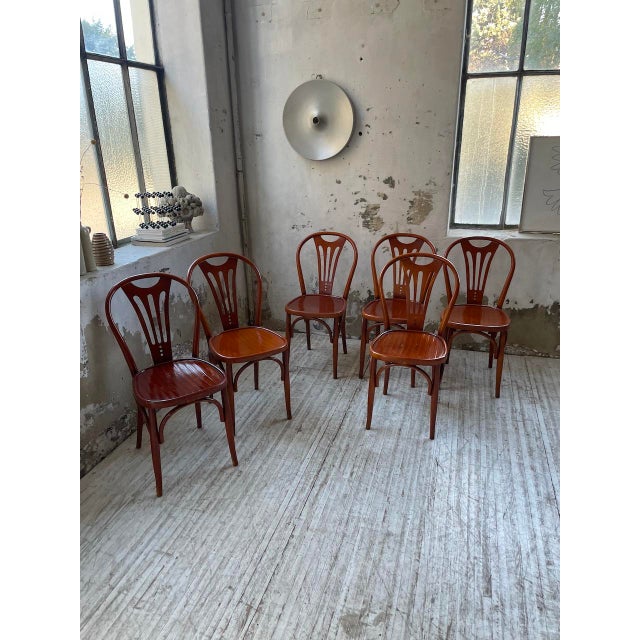 Vintage Bistro Chairs, 1950s, Set of 6 For Sale - Image 4 of 18