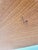 Danish Teak Desk Model Executive Desk Boomerang by Peter Lovig Nielsen for Hedensted, 1960s For Sale - Image 17 of 18
